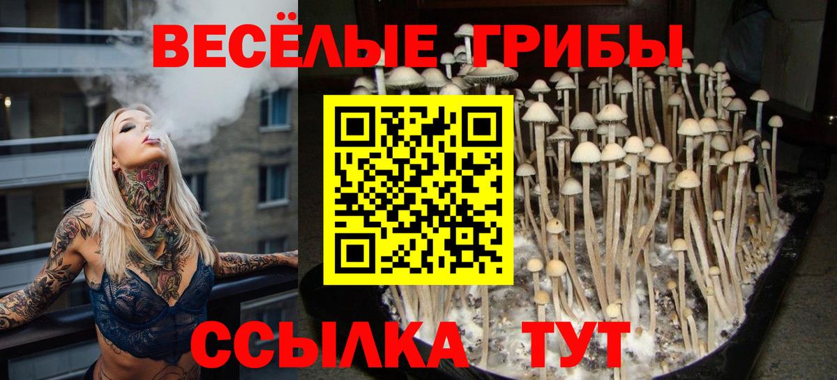 Псилоцибиновые грибы Magic Shrooms Королёв