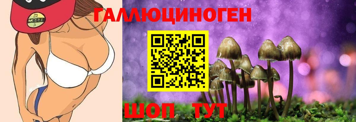 Королёв  Псилоцибиновые грибы Psilocybe  Вход с VPN 